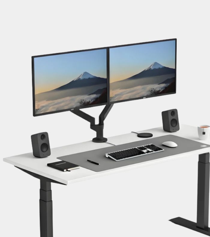 monitor arms